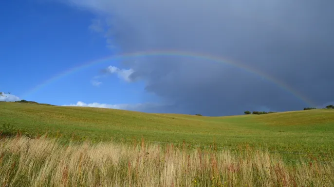 Regenbogen (Foto: Barbara Hefti)