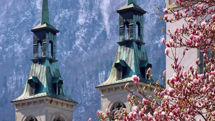 IMG-20220404-WA0003 (Foto: Marianne Horner) IMG-20220404-WA0003 (Foto: Marianne Horner)