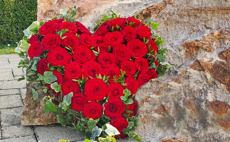 Herz aus Rosen (Foto: Werner Näf) Herz aus Rosen (Foto: Werner Näf)