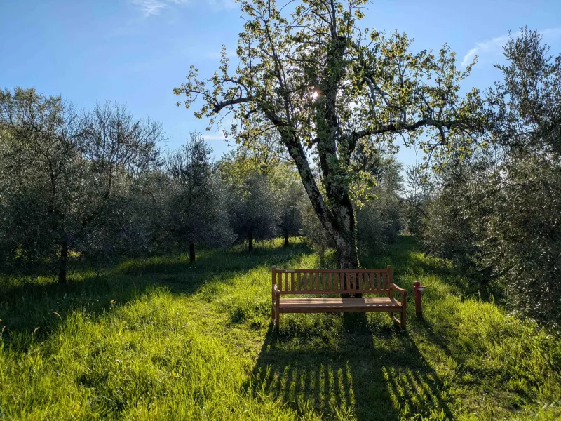 kleinBank PXL_(002) (Foto: Swantje Kammerecker) kleinBank PXL_(002) (Foto: Swantje Kammerecker)