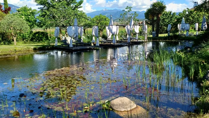 Garten Eden des Hotels Weingarten (Foto: Walter Schaub) Garten Eden des Hotels Weingarten (Foto: Walter Schaub)