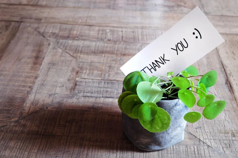 dankbarkeit athree23-thank-you-3690115_1920 (Foto: pixabay free) dankbarkeit athree23-thank-you-3690115_1920 (Foto: pixabay free)